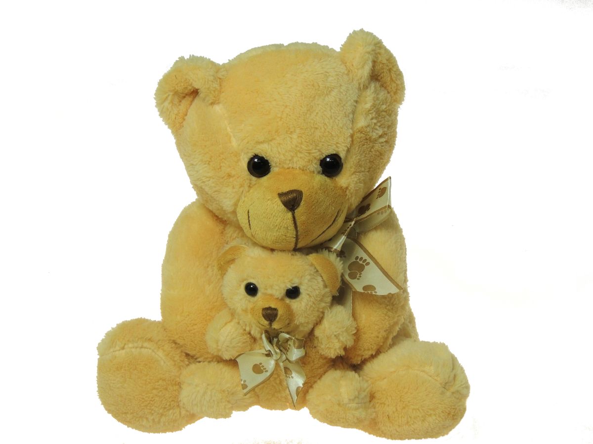 Medvedík s mláďatkom