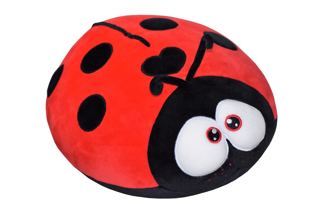 Vankúšik lienočka