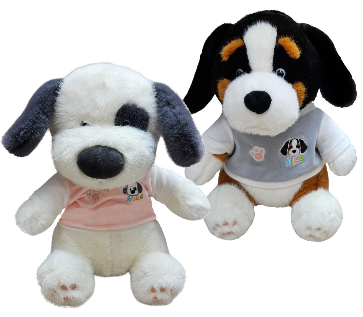 Psík sediaci v tričku